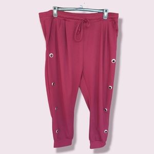 Women's  Joggers  Size 4X
